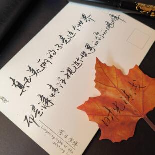 手写代写代抄书信情书贺卡明信片请柬生日祝福表白笔记教案可加急