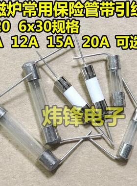 陶瓷玻璃保险管带引线脚电磁炉常用5x20 6x30mm F10A12A15A20A30A