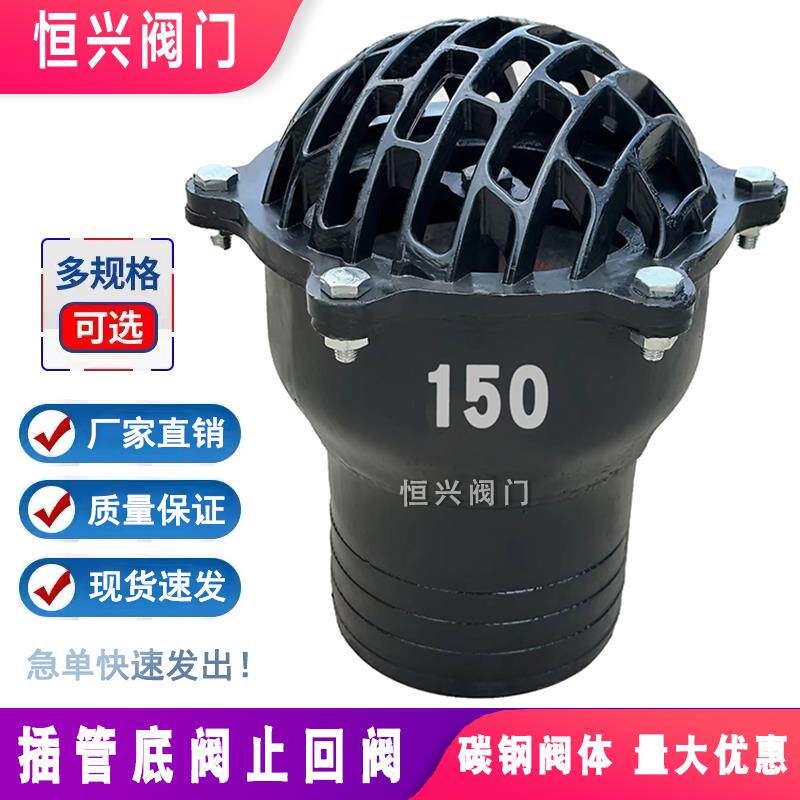 插管底阀止回阀单向阀碳钢水泵抽水吸水阀升降式花篮头莲蓬头底阀