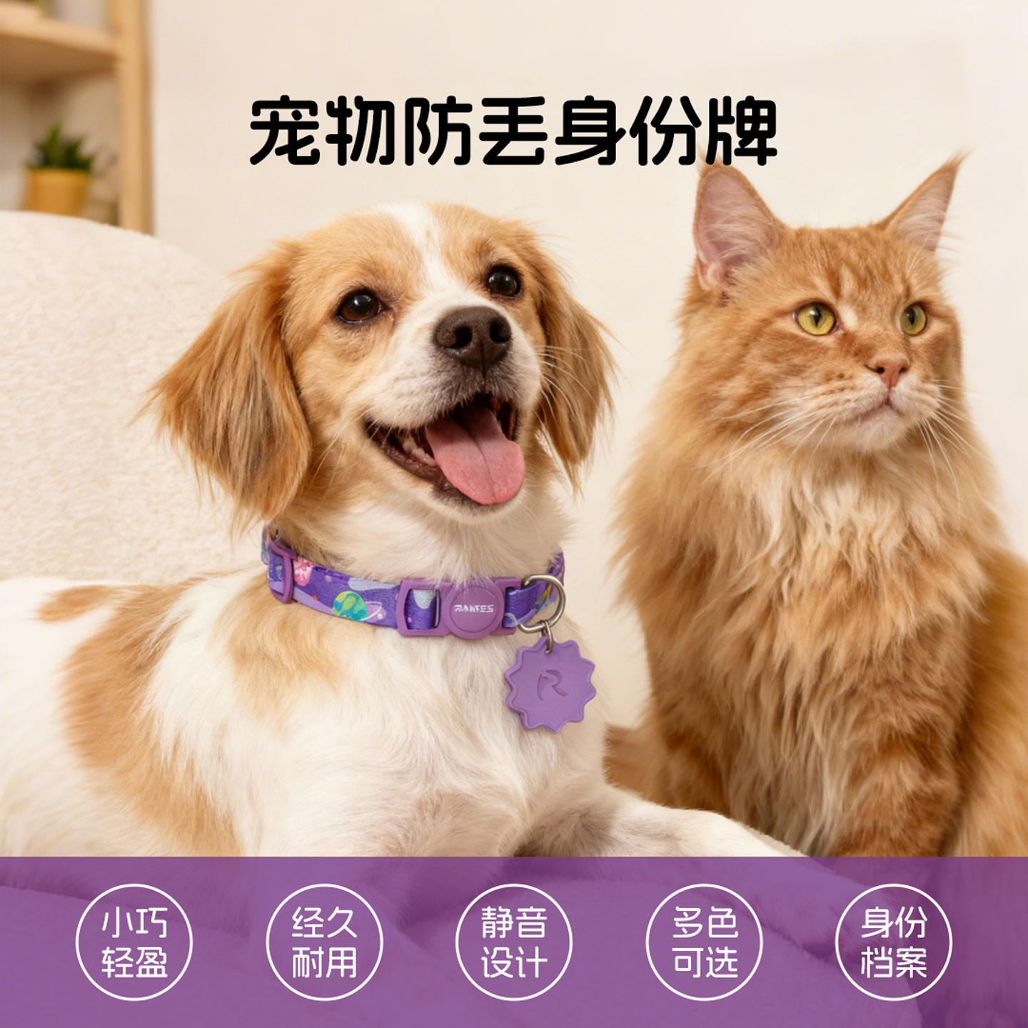 冉物ranres宠物防丢硅胶身份牌