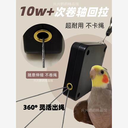 鹦鹉牵引绳自动伸缩脚环放飞绳不伤脚外出飞行遛鸟神器牡丹玄凤