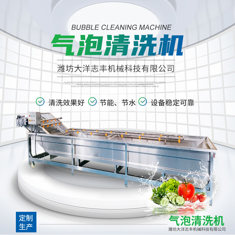 气泡清洗机全自动蔬菜清洗流水线调速型木耳菜清洗生产线洗菜机