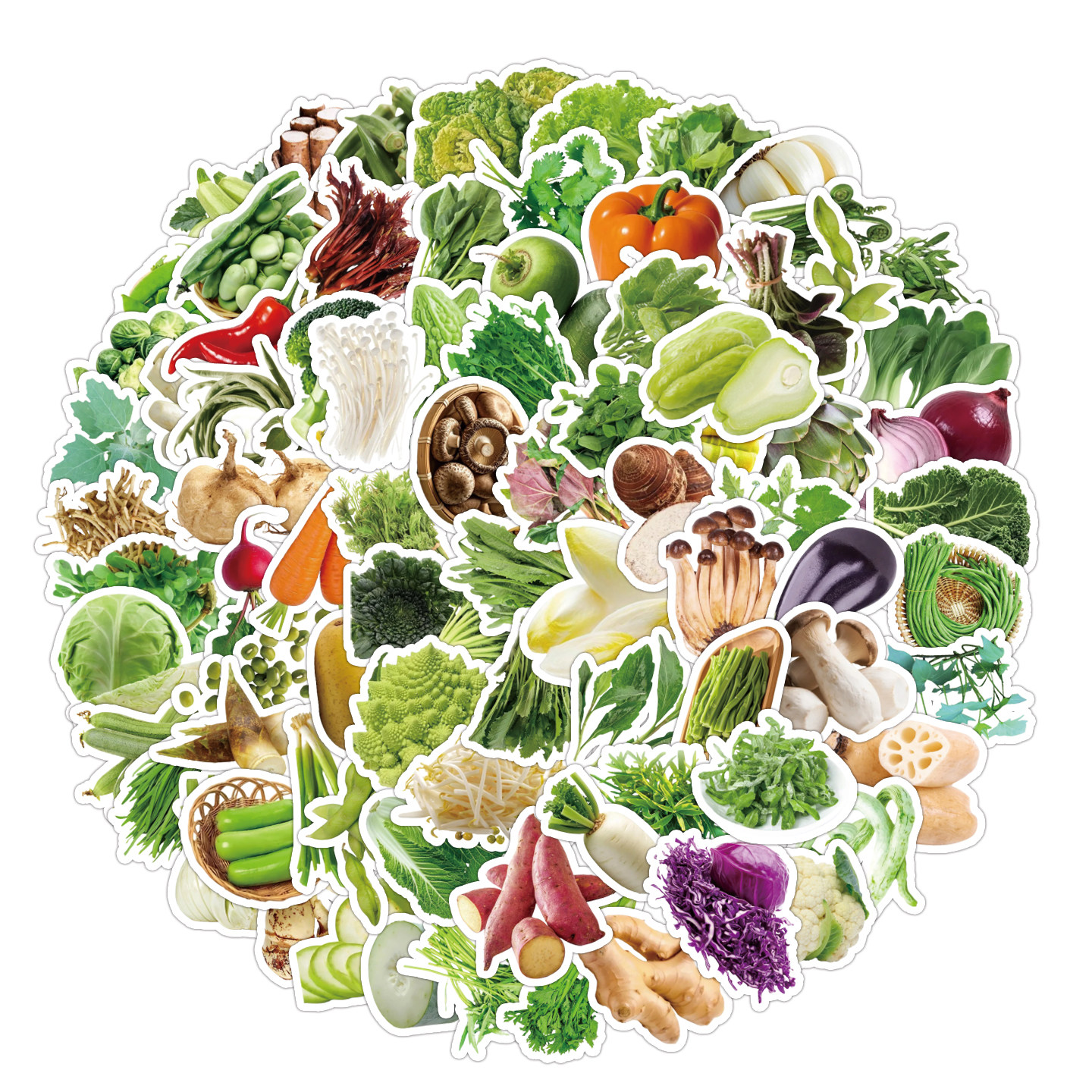 认识蔬菜儿童认知早教行李箱笔记本电脑贴画蔬菜素材贴纸,玩具/童车/益智/积木/模型,贴纸,淘宝优惠券,粉丝福利购,淘宝优惠卷