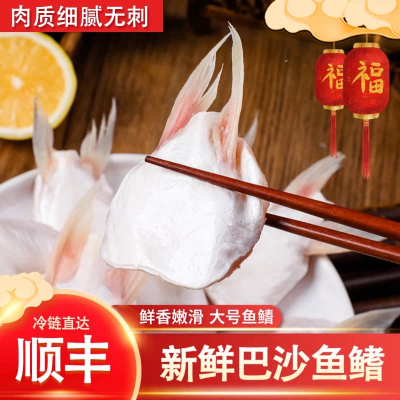 【巴沙鱼鳍】新鲜巴沙鱼鳍鮰鱼鳍鱼腩鱼划水鱼肥油鱼翅鱼肚鱼下巴
