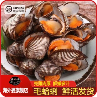 鲜活毛蛤大蛤蜊非血蛤大毛蚶海鲜水产干净无沙野生贝壳类海鲜