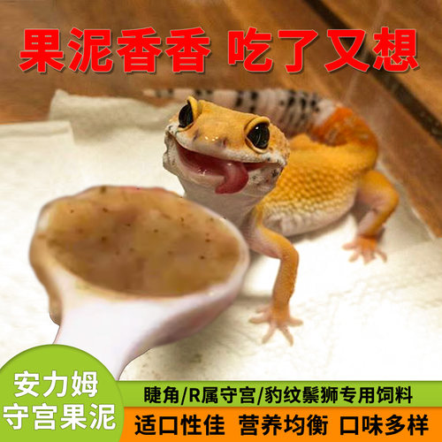 安力姆爬宠果泥睫角守宫蜥蜴饲料