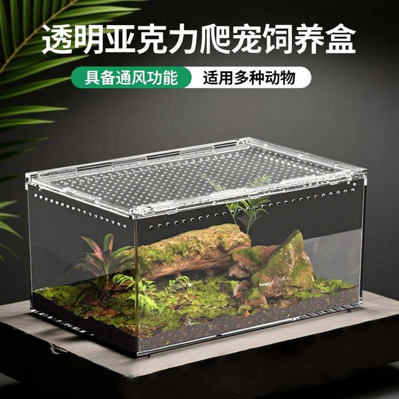 透明亚克力爬宠饲养箱守宫养殖缸