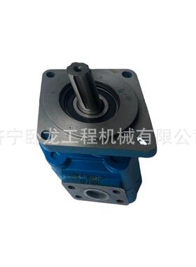 JHP3100装载机CBGJ3100齿轮泵1455-62G-01000 1455-62C-09000