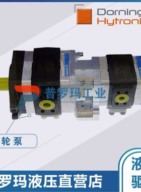 德国Dorninger Hytronics齿轮泵DHPC5-064 080 100-RA23-10 RB23
