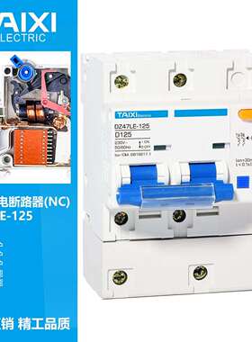 泰西漏电保护DZ47LE-125 2P80A100A125A 剩余电流动作断路器30mA