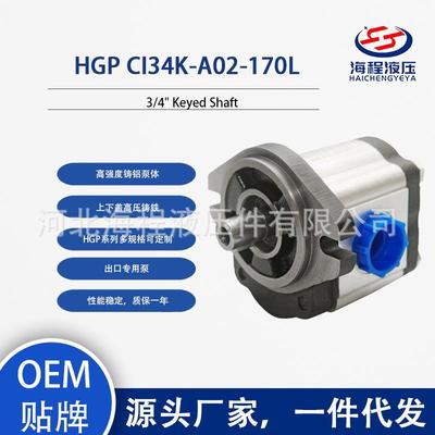 HGP CI34K-A02-170L 液压泵 出口专用 3/4