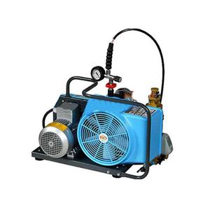 9960003标配300bar充气装 置高压呼吸空气压缩机