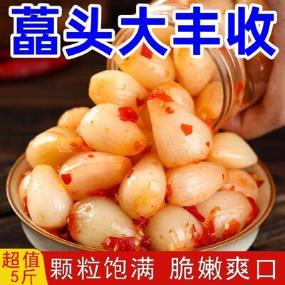 云南特产酸辣酸甜藠头袋装水晶荞头开胃下饭菜泡菜腌渍菜批发包邮