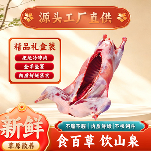 内蒙古12 30斤整只新鲜现杀全羔羊饭店商用烧烤食材草原锡林郭勒