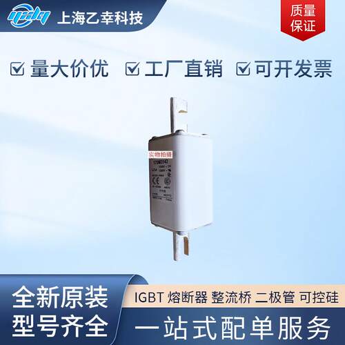 巴斯曼熔断器 170M3067 170M3068 170M3069 170M3070 170M3071