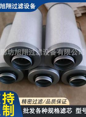 机油滤清器滤芯 P502039 A222100000569 JX650 4650205 现货供应