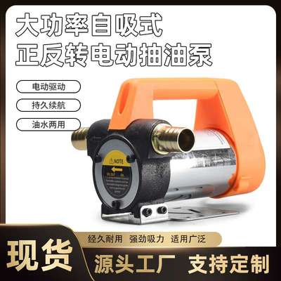诺安得正反转电动抽油泵12V24V220V伏自吸泵直流柴油泵加油机抽油