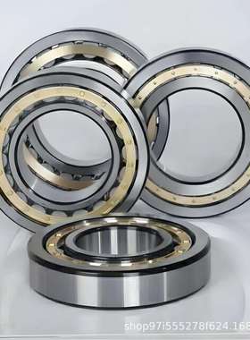 单列满装滚子轴承SL182934 NCF2934V 170 230 36