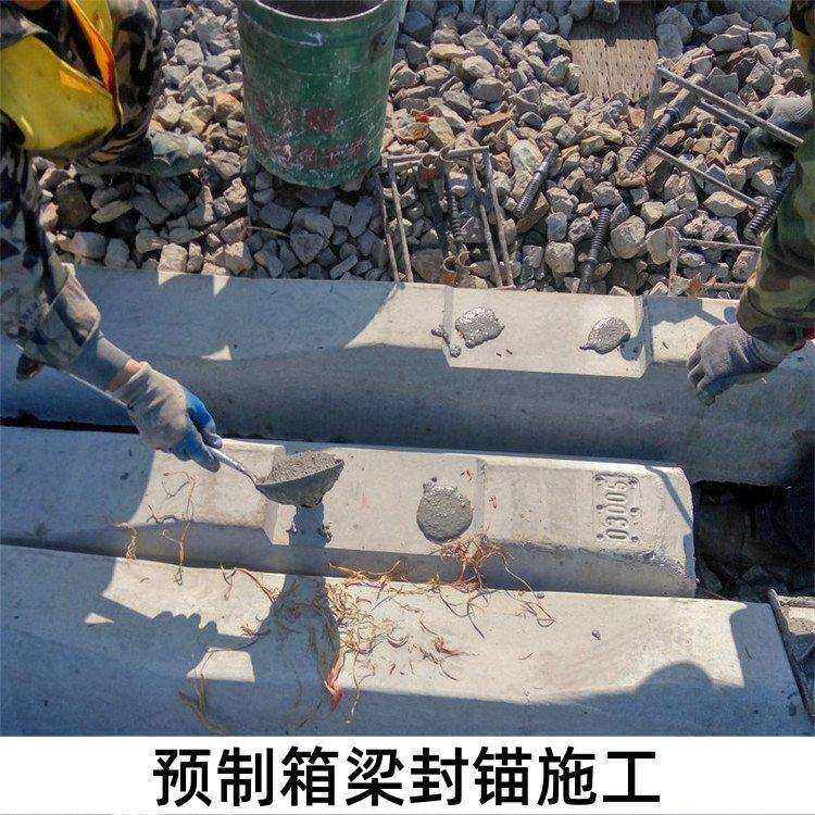 道钉锚固剂速凝型高拉拔力无收缩水矿井隧道卷式水泥无机锚固剂