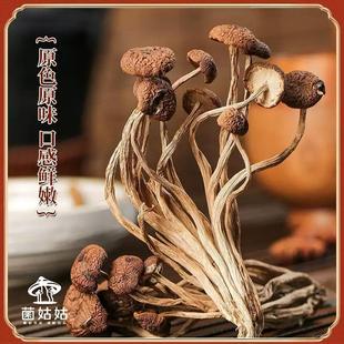 精选茶树菇干货不开伞 特产新鲜茶薪菇煲汤竹荪羊肚菌