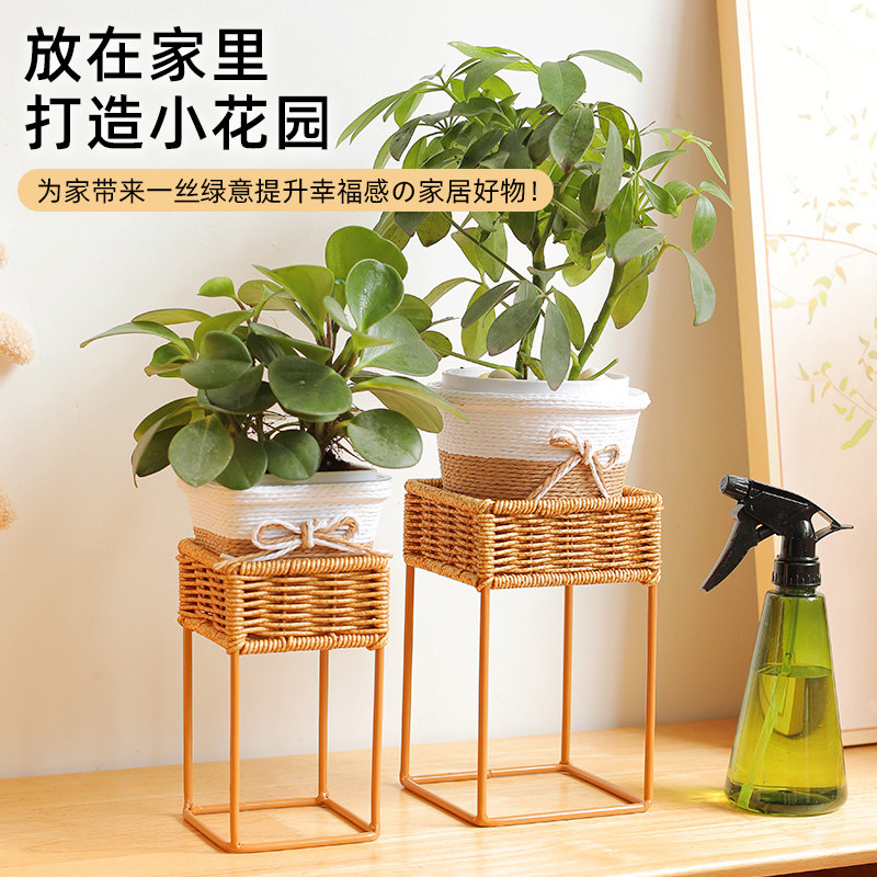 桌面小花架多肉飘窗阳台客厅办公桌上展示架迷你花盆栽架子置物架
