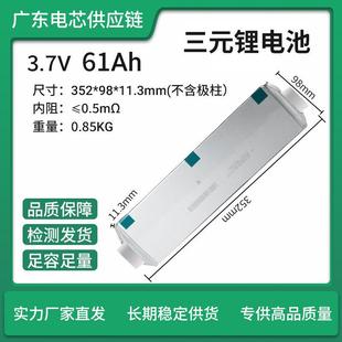 E78聚合物软包动力电芯三元 全新E61 E72 E71 电动车电池组 E66