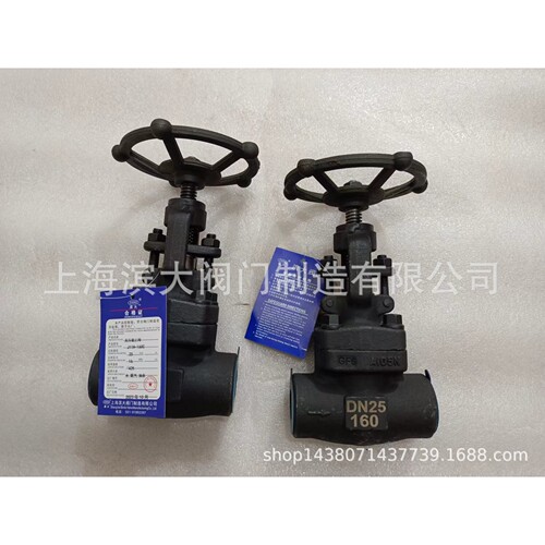 上海滨大阀门J11H-160C锻钢丝扣截止阀锻钢高压截止阀DN15