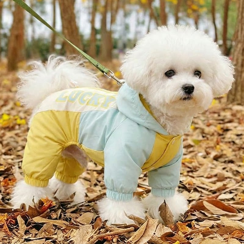 可牵引狗狗衣服秋冬薄款小型犬雪纳瑞比熊泰迪外出防脏四脚冲锋衣