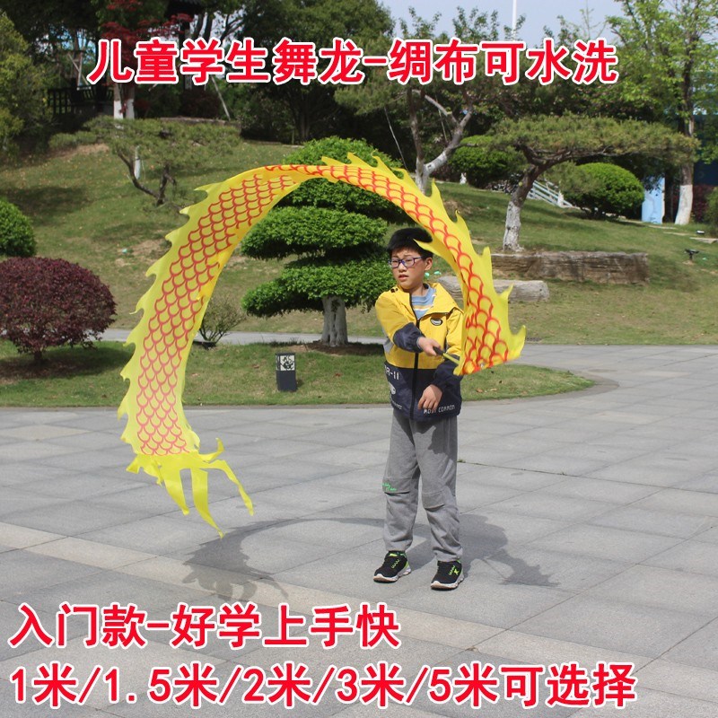 校园学生舞龙儿童舞龙杆甩舞龙彩带手甩舞龙手甩舞龙彩带学生舞龙