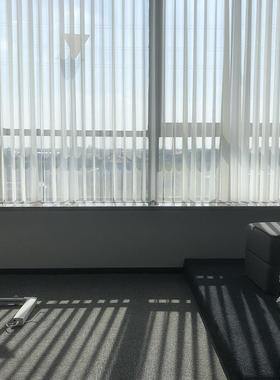 加厚电动梦幻帘2024新款家窗帘竖直百叶垂帘帘客厅阳台80740手动