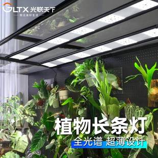 光联天下植物生长灯长条灯全光谱自然光热植块根花架植物柜补光灯