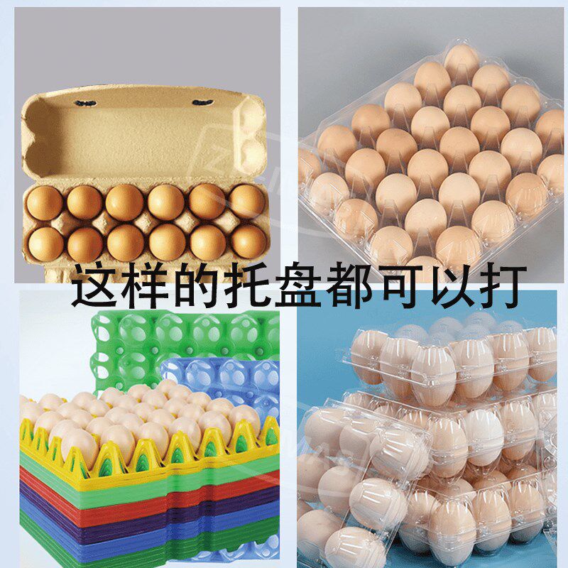 全自动鸡蛋打码机禽类蛋智能喷涂蛋禽类数字LOGO喷码机全自动化