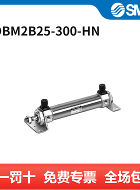 SMC CM2系列气缸 CDBM2B25-300-HN 个