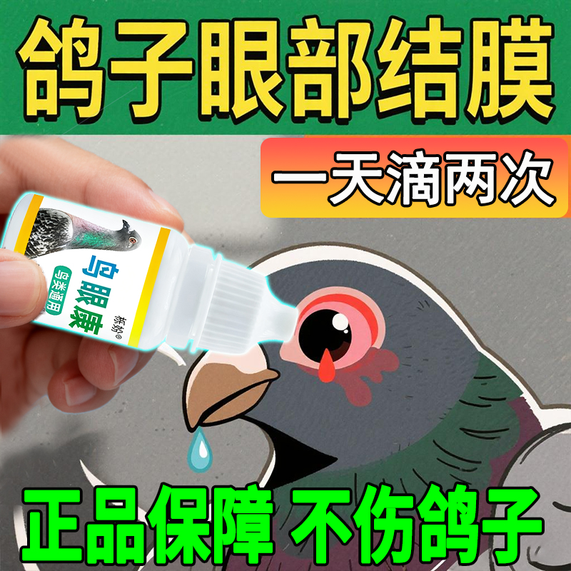 鸽子单眼伤风眼流泪肿胀闭眼流泪信鸽赛鸽幼鸽专用滴眼液