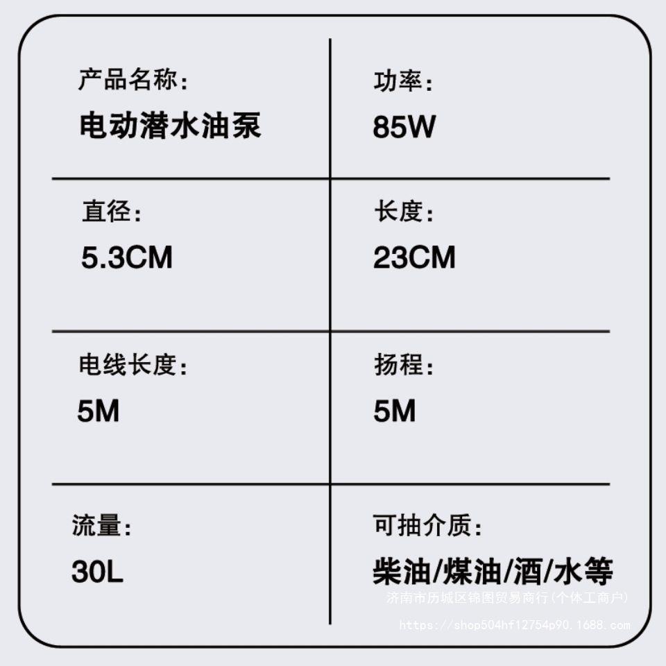 抽油泵柴油48V电车抽水泵60伏三孔插头小型自吸泵72V电动柴油泵
