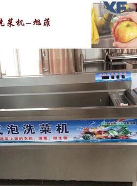 旭菲机械小型涡流洗菜机气泡多功能洗菜设备商用功能齐全