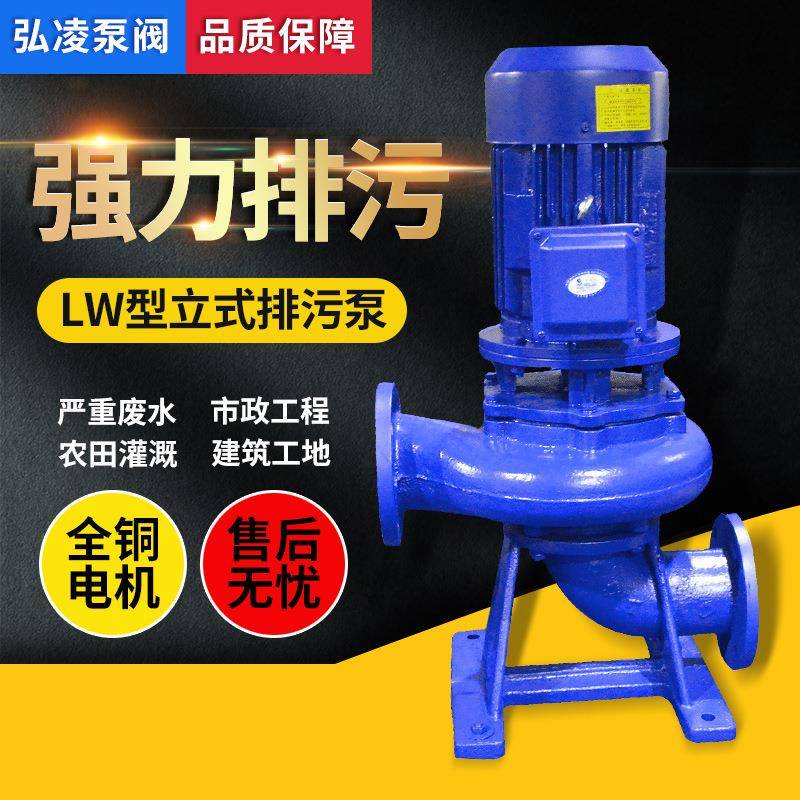 LW直立式排污泵铸铁立式排污泵不堵塞立式污水排污泵