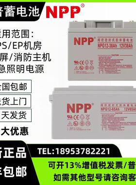 NPP耐普胶体蓄电池NPG12-40 12V65AH40A100A38A24A20A直流屏 应急