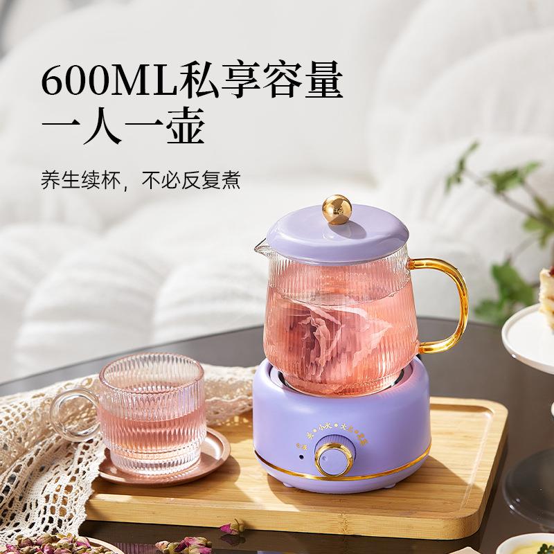 迷你养生壶办公室一人多功能烧水花茶壶养生杯电炖杯公司礼品