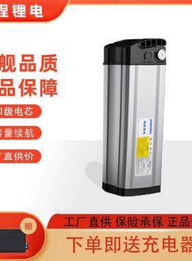 折叠电动车大容量通用电瓶48V6-20A代驾外送车专用手提银鱼锂电池