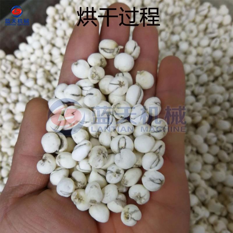 平贝干机 平贝母生烤物质YAV颗粒烘干房 烘大型干坪贝平贝药材烘