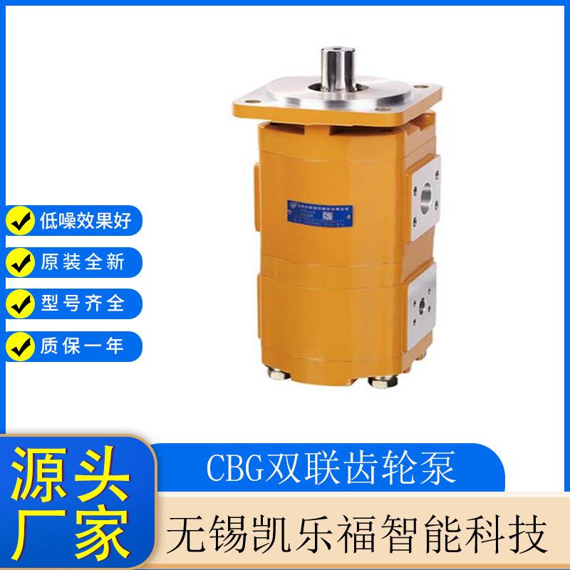 双联齿轮泵CBG2100/2063厂家 起重机油泵 装载机油泵