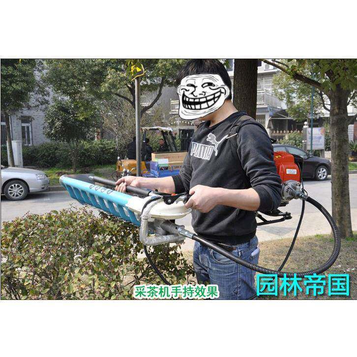 四冲139FA背负式八孔采茶机 二冲程茶叶采摘机 绿篱机配华盛动力