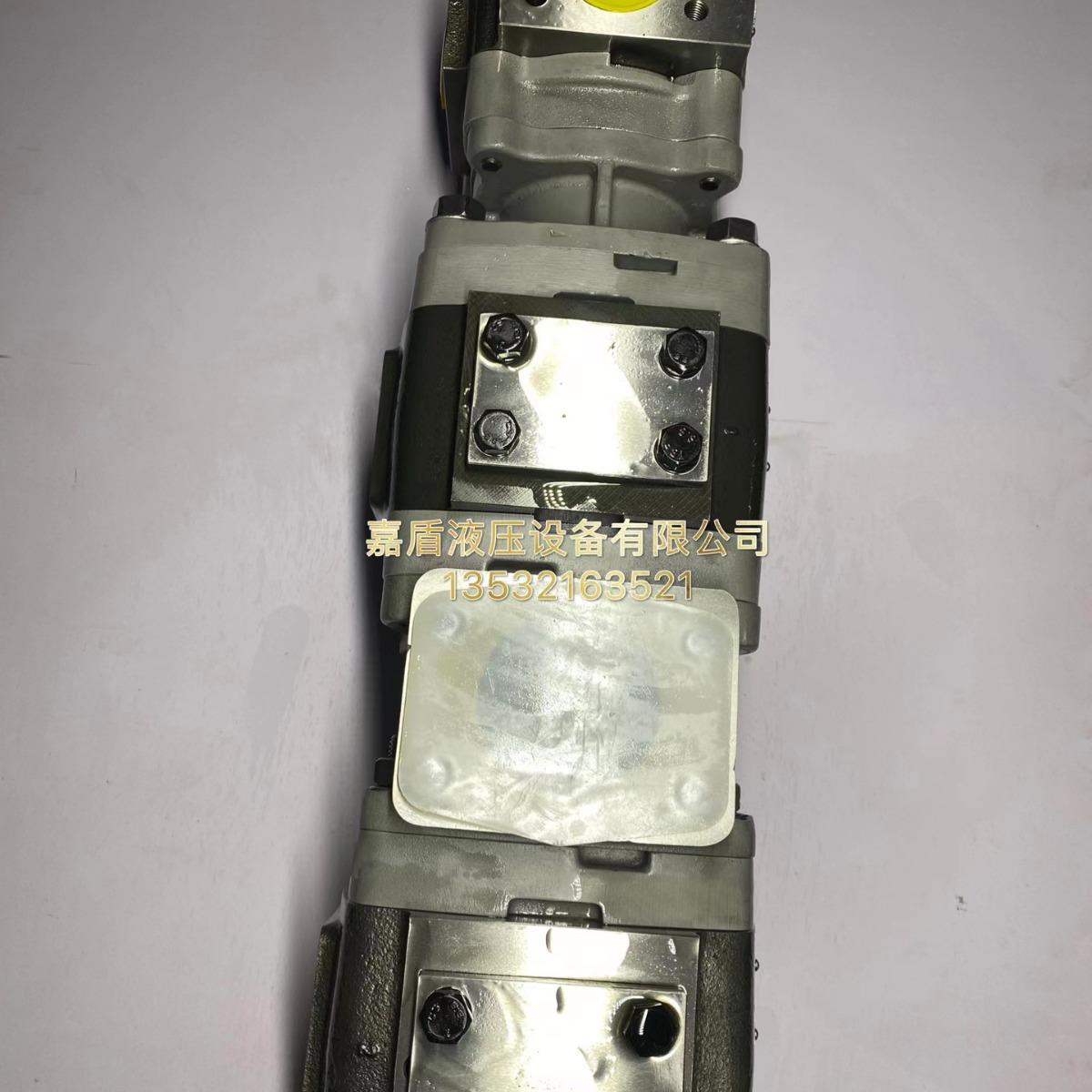 VOITH德国 福伊特 IPV3-8-101 IPV4-16-101 IPV4-20-101齿轮泵