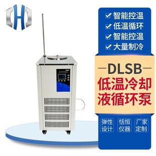 DLSB低温冷却液循环泵冷水机5 20L实验室低温冷却循环泵
