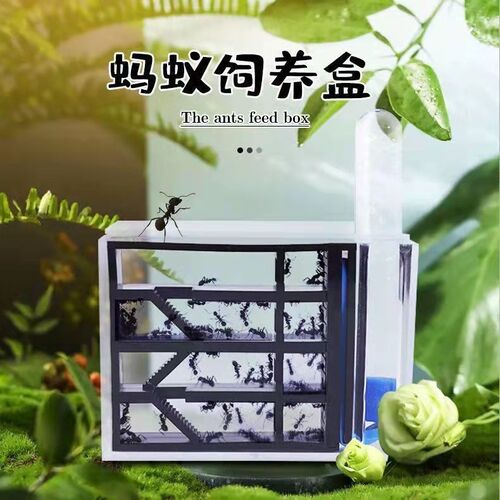 蚂蚁生态箱蚂蚁城堡生态箱蚂蚁宠物饲养盒观察蚂蚁城堡超大型观赏