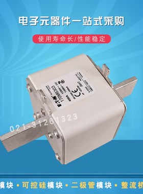 快速熔断器保险丝170M6271 6270 6277 6281 6299 6301 6308 6303