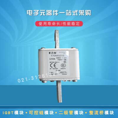 巴斯曼快速熔断器170M5065 5066 5067 5068 5108 5109 5110 5111