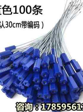 新品新款钢丝封条物流锁防扎带签盗B封铅锁扣油罐车封签钢丝铅品