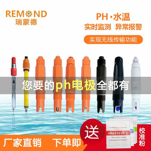 瑞蒙德ph计 ph传感器电极控制器测试仪探头 ORP检测仪 酸度计